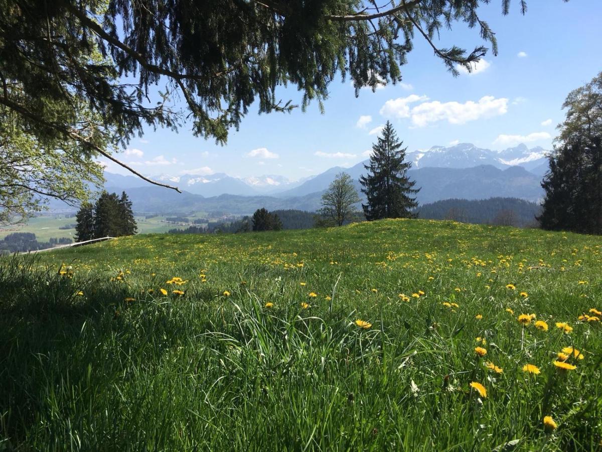 Apartment Alpenblick